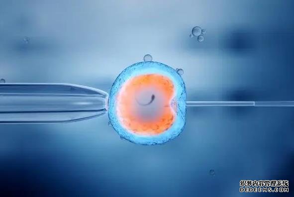 郑州代生的流程 2022郑州大学第三附属医院供卵试管费用清单 ‘孕囊34*27*19男孩女孩’