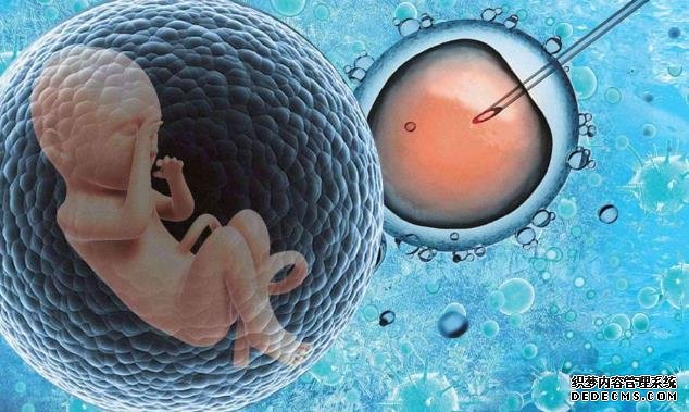 杭州市妇保试管流程 杭州第三代试管婴儿哪个好 ‘怎样通过nt单看男女性别’