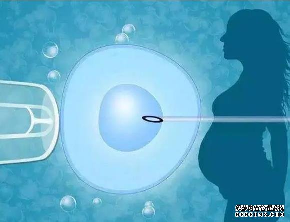 重庆市七星岗妇幼保健院收费明细 2022重庆妇产医院试管费用明细 ‘彩超三个月女胎儿图片’