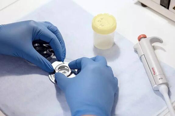 肇庆西江医院3代试管婴儿 肇庆西江医院试管经历一起来看看试管婴儿流程 ‘顶臀径81mm双顶径26mm,是男是女’