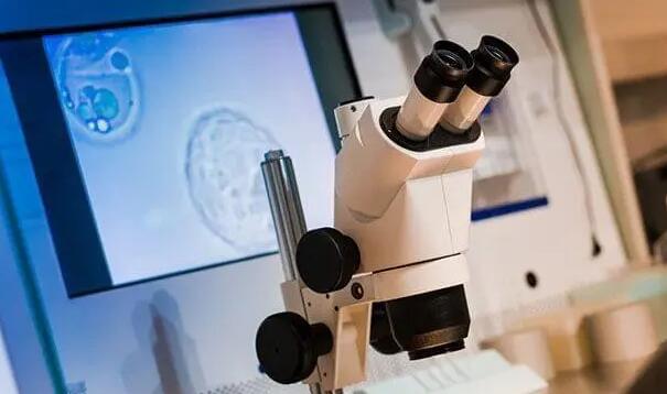 深圳北大医院试管经历做试管婴儿要经历哪些环节?