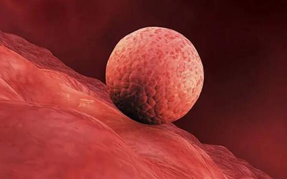 南宁妇幼保健院做试管成功率高吗?试管要多少钱?