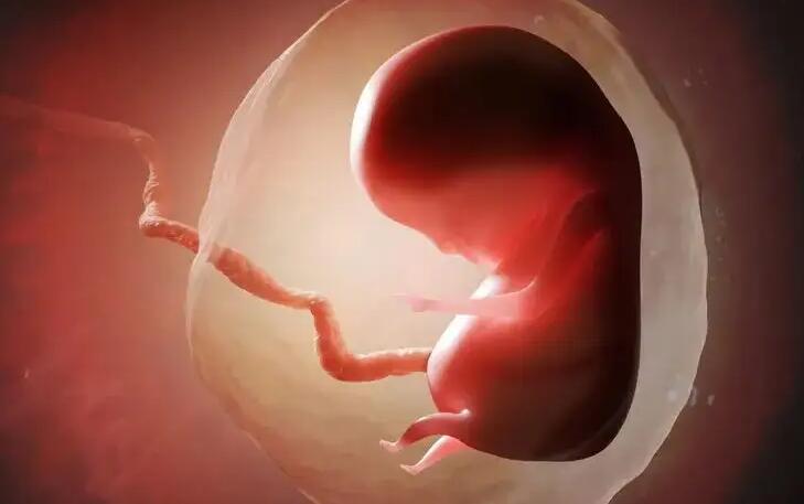 广西 三代试管 2023广西壮族自治区贵港市人民医院试管婴儿费用明细 ‘29周四维查男女准确率高吗’