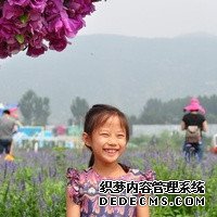 图解试管婴儿花费明细表及试管步骤_AO89w