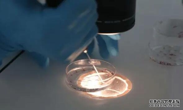 2022上海仁济医院试管婴儿成功率怎么样?附医生成功率介绍