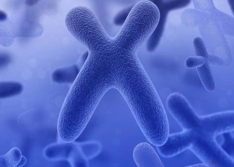 杭州三代试管婴儿费用总共多少?