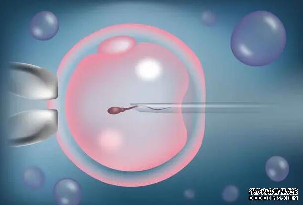 南昌代怀中心是吗 2022南昌大学第一附属医院做试管婴儿要多少钱？ ‘三维看脸型如何知道是男是女’