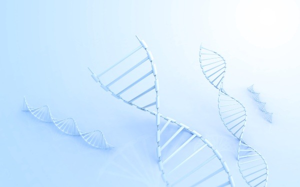 长沙玛丽亚医院可以报销吗 长沙试管私立医院有哪几家长沙私立试管医院 ‘孕囊323538男孩女孩’