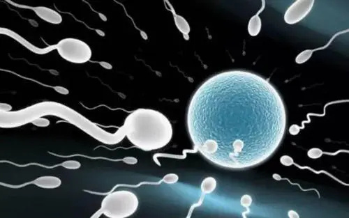天津试管供卵 天津市产假办理流程 ‘孕囊43×15×42是男孩还是女孩’