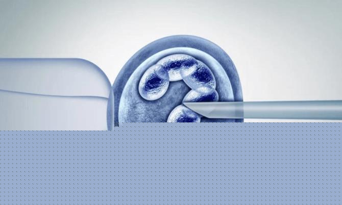 高龄泰国试管成功率怎么样