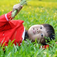 2023年河南做试管婴儿的医院排名,2023河南试管婴儿医院排名前十一览,附成功率及费用介绍