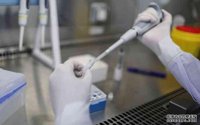 孩子被猫咬了吗?绝对不要打狂犬病预防针。