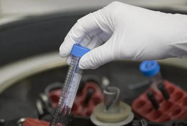 阜新供卵试管 最新阜新哪家试管医院成功率最高 ‘怀男孩孕六周的症状’