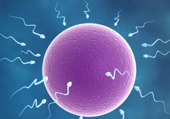 珠海市知名试管婴儿医院成功率排名榜是怎么样的？