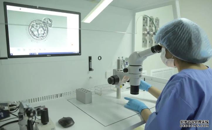 海南hiv代孕 2022海南人工授精医院排名: ‘生儿子女儿肚型图片’