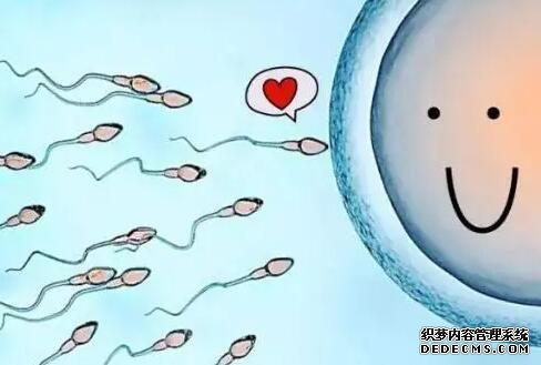 肾功能三项检查项目解析，这三个项目缺一不可