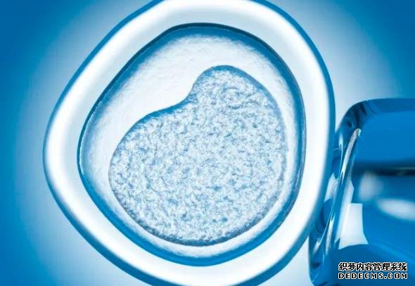 绍兴供卵试管经验 2022在绍兴市妇幼保健院做一次供卵试管婴儿要多少钱？附绍兴市妇幼保健院供卵试管费用一览 ‘代孕7周,孕囊大小2.41.52.5厘米男孩还是女孩的概率大’