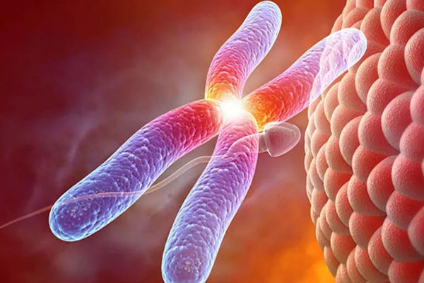 厦门妇幼试管婴儿费用大概多少