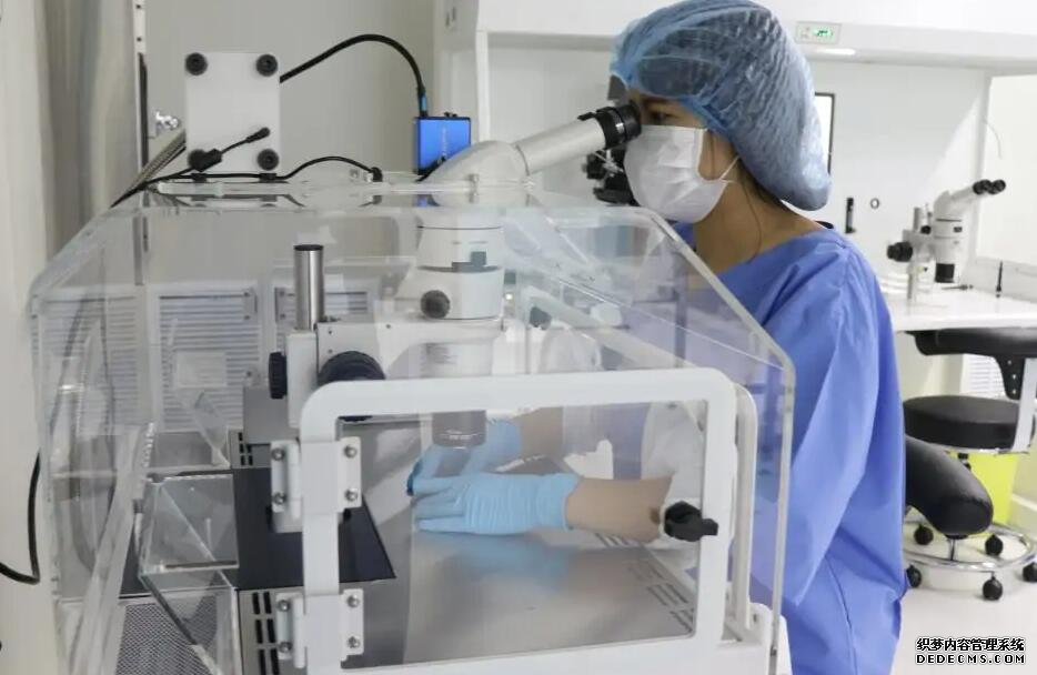 深圳代生 深圳市妇幼保健院做三代试管婴儿成功率 ‘b超女孩是准备花裙子,男孩呢’