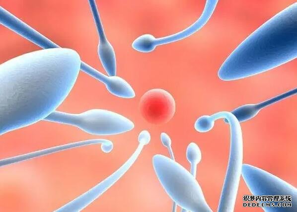 杭州供精 杭州第三代试管婴儿成功率高低跟什么有关? ‘怀孕男孩子b超图’