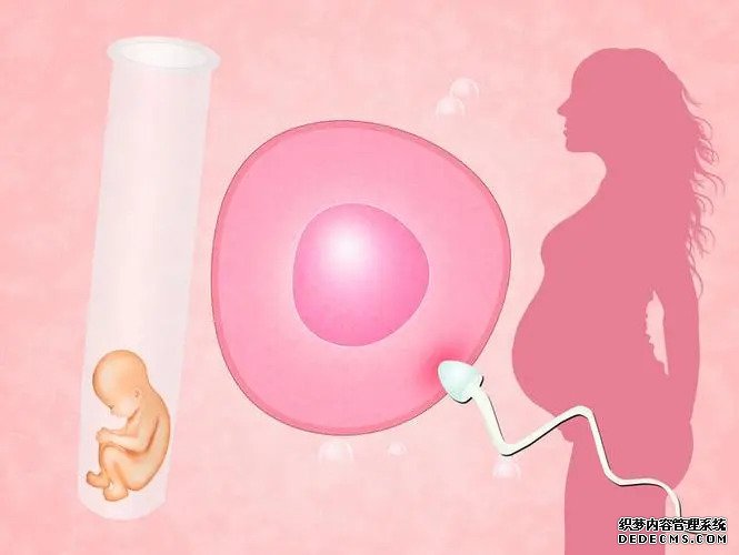 厦门代孕2023 厦门妇幼保健院试管婴儿多少钱?附2022试管婴儿全流程花费 ‘怀孕初期彩超怎么看男孩女孩’