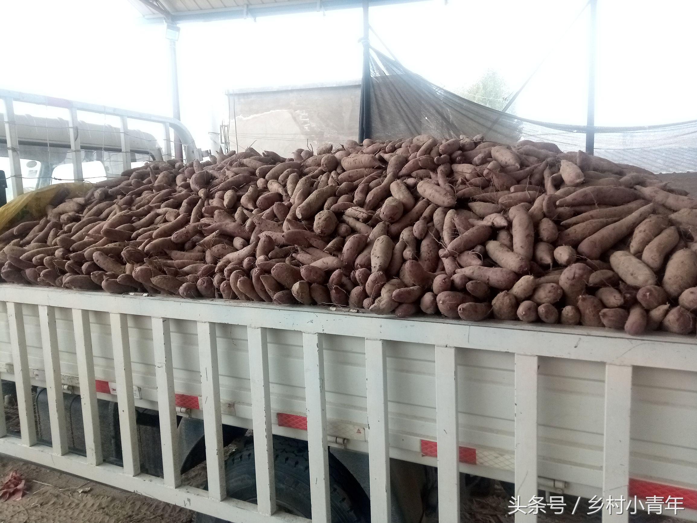 家长如何应对孩子提问