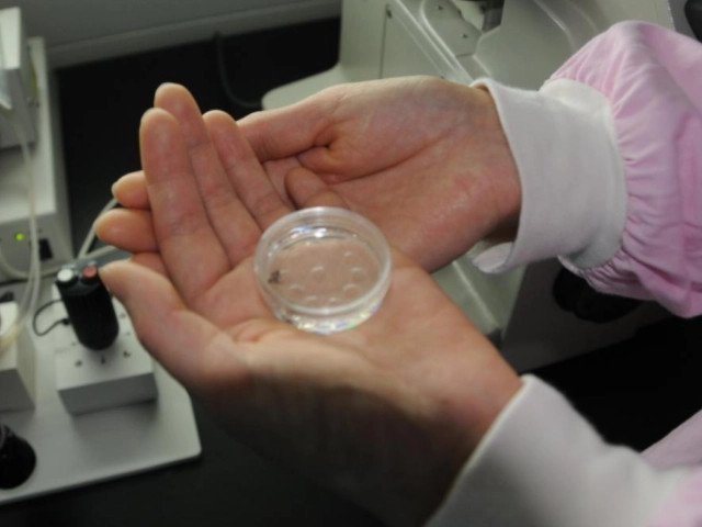 试管婴儿的孩子,长大后都怎么样了?答案可能跟你想的不一样