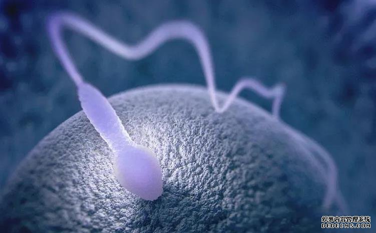 青岛正规供卵试管公司价格表 青岛哪家医院做试管婴儿成功率高 ‘三维B超单男女’