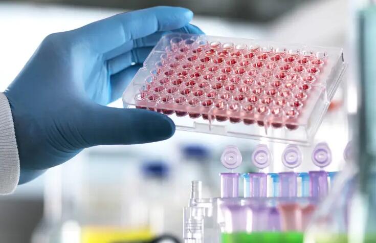 河南供精试管婴儿流程,河南四维彩超预约流程(省人民医院为例)