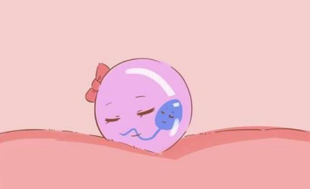 供卵试管长沙 长沙医院做第三代试管婴儿要多少钱? ‘四个半月彩超看男女准确率是多少’