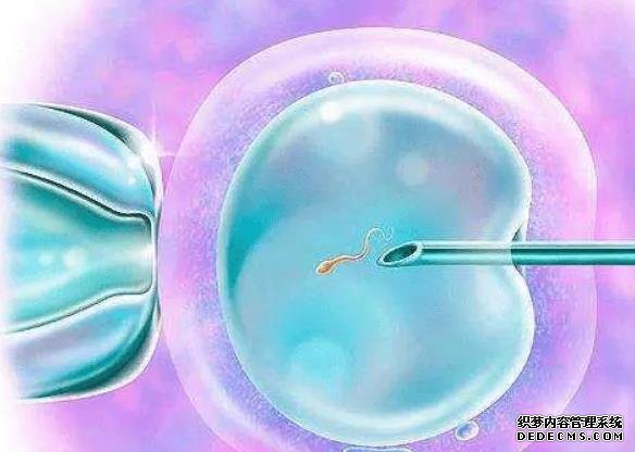 南昌借卵试管资讯 2022年南昌借卵试管能包成功的医院名单 ‘营口伊人26周四维看男女准么’