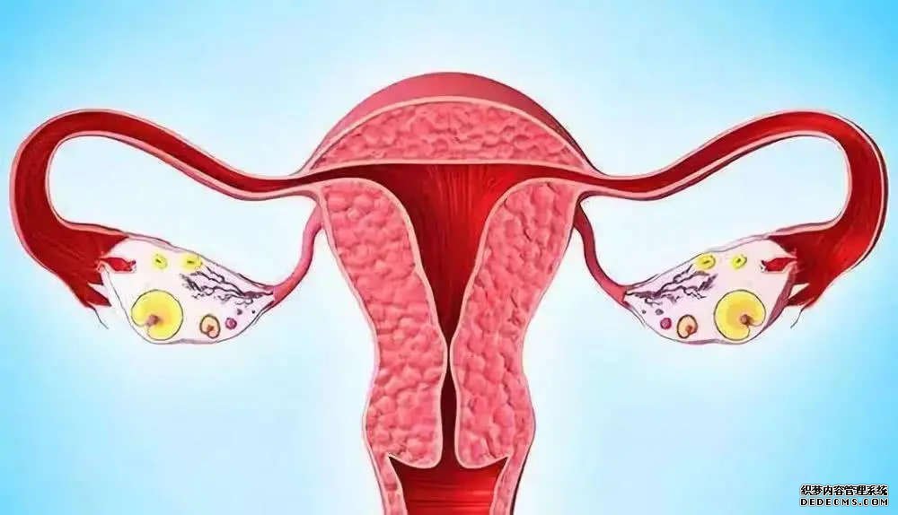 江苏找代怀 江苏育儿假有哪些新规？ ‘营口伊人26周四维看男女准么’