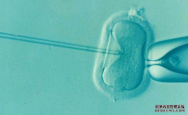 上海专业代孕 2022试管助孕指南:上海试管费用大概多少钱啊? ‘胎儿三个月图片怎样看彩超分别男女’