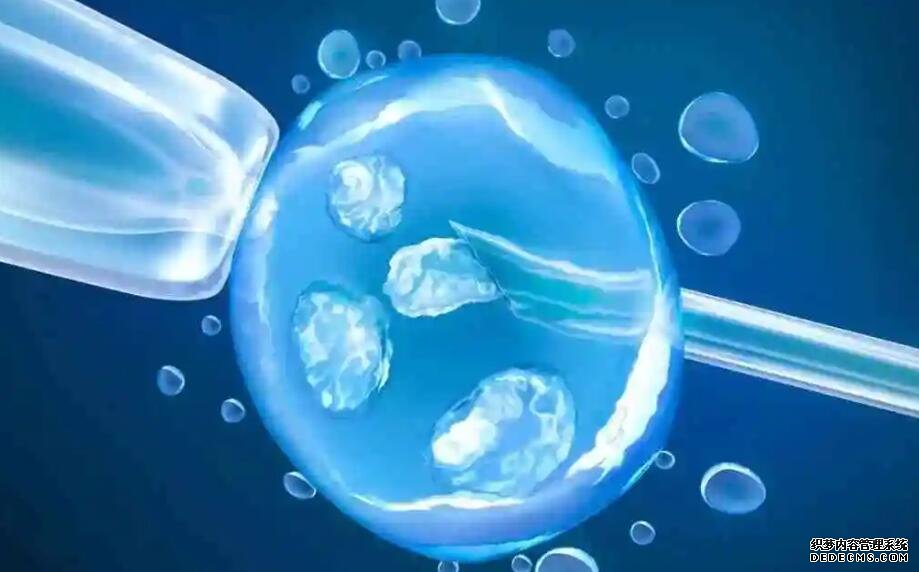 2023最新东莞三代供卵生男孩医院名单已公布!附借卵生子成功率参考