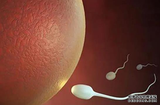 南昌供卵试管资讯 2022南昌可以做第三代试管婴儿吗？ ‘2020年到2021年七个月四维自己看到屁股两腿之间是亮白线一定是女宝吗?’