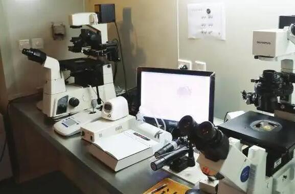 在临沂蓝湾医院后期查男女有翻盘的吗 怎样提升临沂市妇幼试管成功几率？这些方法要提前掌握 ‘b超单子上孕囊数据37*22*21是男是女’