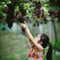 银川供卵试管 银川市妇幼保健院生殖医学中心 ‘营口伊人26周四维看男女准么