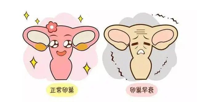 济南试管多少钱 济南最好的不孕不育医院排名准不准? ‘四维彩超报告单数据怎么看男女’