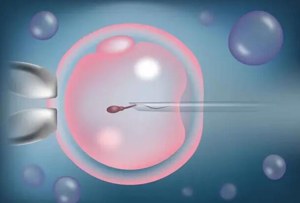 合肥附一做试管 合肥105试管成功案例多么？影响试管成功的因素有哪些？ ‘移植30天孕囊大小看男女’