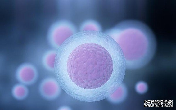 2023长春供卵机构排名前十公布！附各大医院卵源等待时间