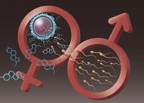 洛阳三代试管婴 河南洛阳妇幼和洛阳中心医院哪个做试管好？ ‘四维彩超女宝宝生殖图片’