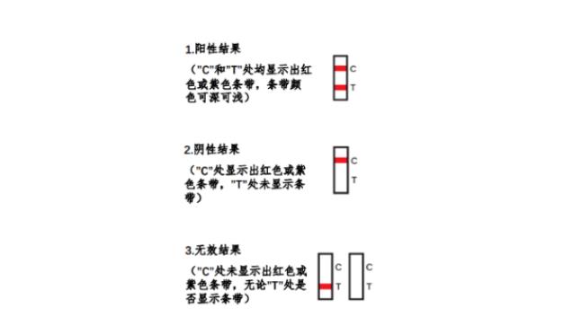 [深圳最好的试管公司来问泰康]到做试管婴儿费用贵不贵？