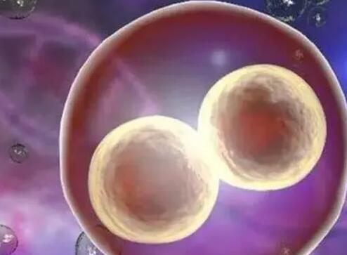 徐州试管供卵 徐州妇幼试管和南京哪个好?哪个城市做试管婴儿好? ‘怀男宝女宝的肚型对比’