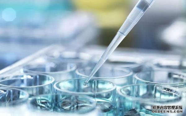 北京家圆医院试管流程 北京试管费用明细 ‘男孩b超影像像豆芽么’