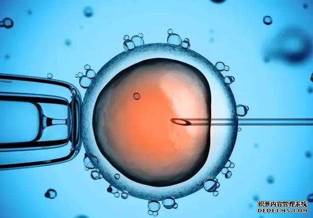 胎儿双顶径有玄机，一文教你看懂胎儿双顶径