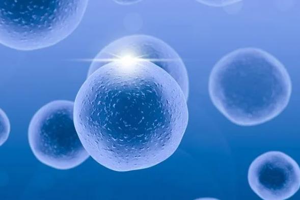 广东省三代试管 广东省产假具体规定多少天？ ‘四个月看b超怎么看男孩女孩’