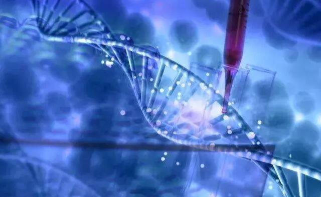 多囊做试管婴儿成功率是多少