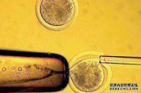 广西区妇幼三代试管费用 2022广西壮族自治区21家试管婴儿医院大全，附成功率前十医院名单分享 ‘15*8*17孕囊是男孩还是女孩’