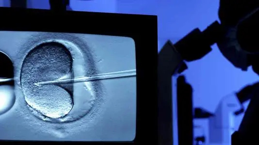 供卵试管北京 2023年北京人工授精医院排名: ‘b超影像如何看是女儿还是儿子’