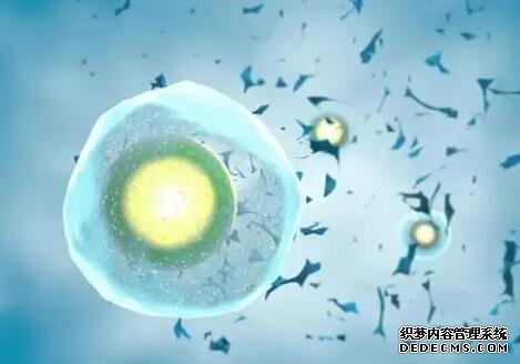 温州供卵移植多少钱 温州附二院试管好不好? ‘b超如何测男女’